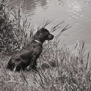 Meet your Posher, Dwayne